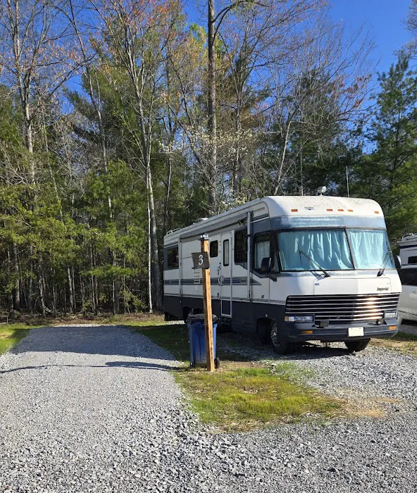 Lone Mountain RV and Campground 2