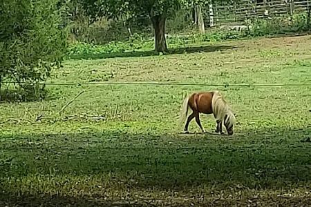 River Road RV Prk & Horse Cmp