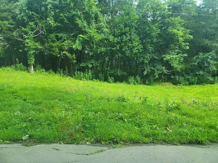 Henry Horton State Park RV Campground 10