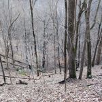 Historic Southport Saltpeter Cave