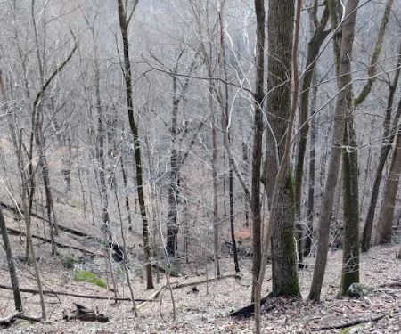 Historic Southport Saltpeter Cave