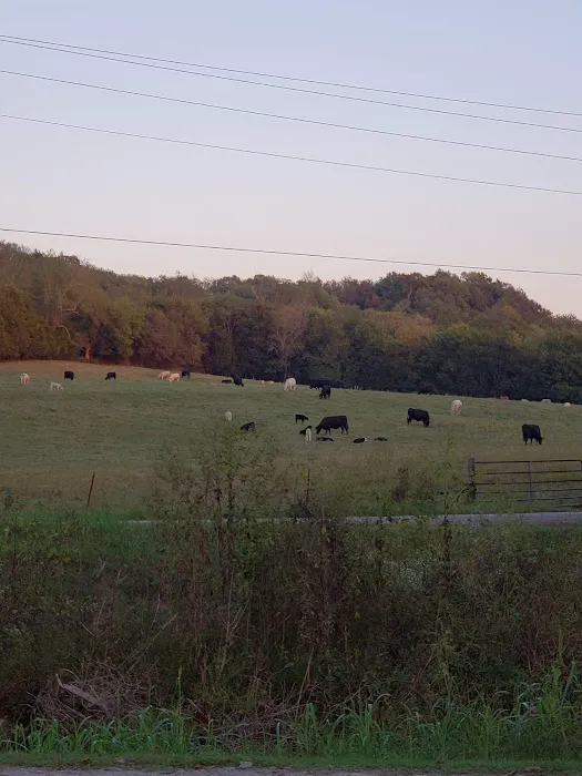 Stoney Creek Travel Park 6