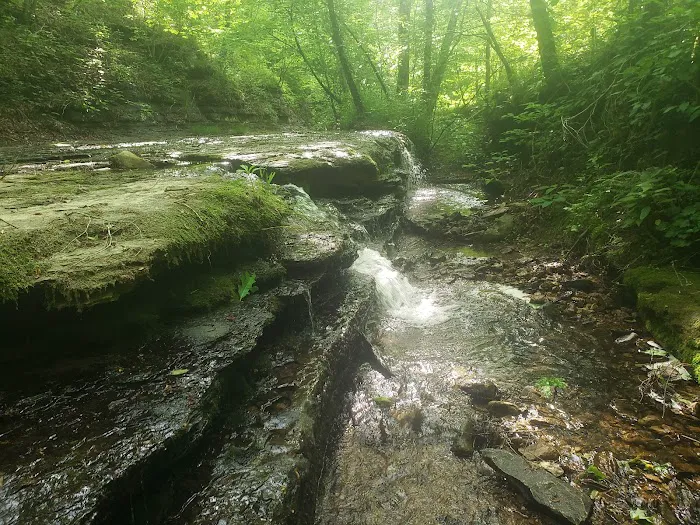Whispering Oaks Retreat and Campground 7