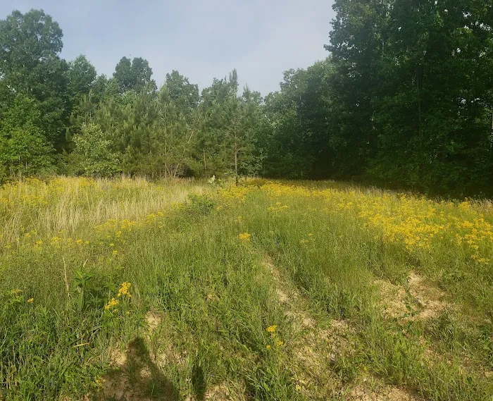 Whispering Oaks Retreat and Campground 10