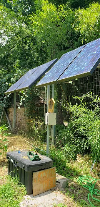 Hoot Owl Hollow on The Farm 7