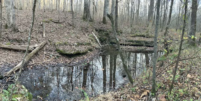 Hoot Owl Hollow on The Farm 1