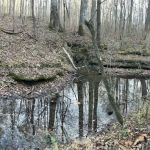 Hoot Owl Hollow on The Farm