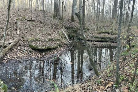 Hoot Owl Hollow on The Farm