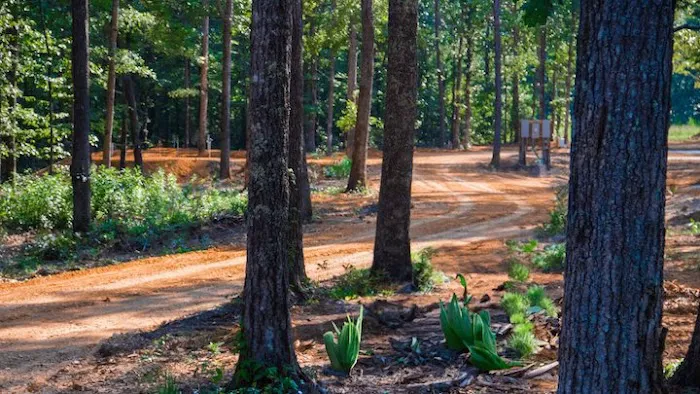 Swiss Haven RV Campground 3