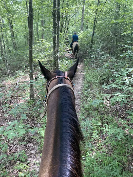 Laurel Hill Trail and Camp 10