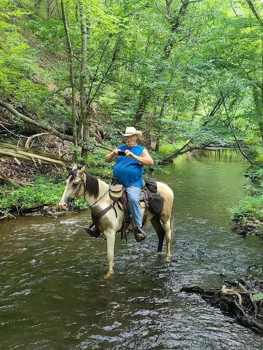 Laurel Hill Trail and Camp 9