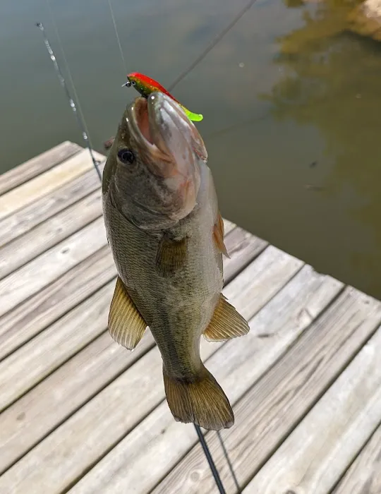 Red Oak Point 7