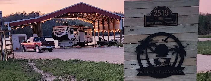 Pineapple Landing 1