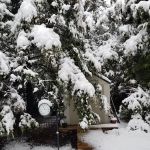Shady Grove RV Park & Campground