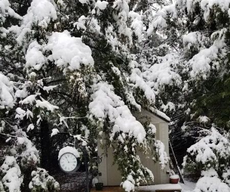 Shady Grove RV Park & Campground