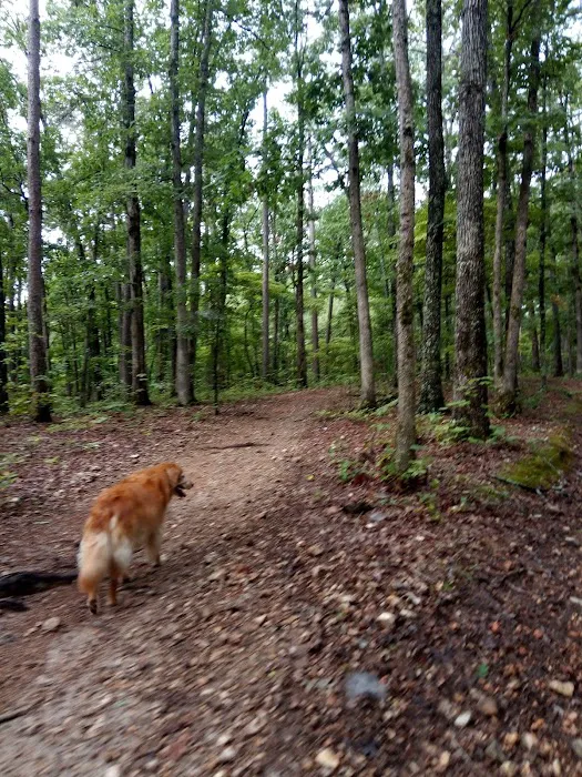 Cobb Ridge Campground 8