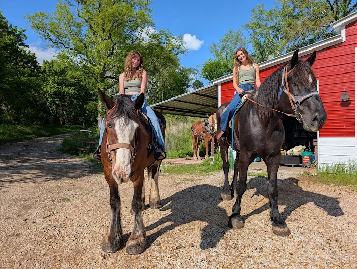 Clydesdale Experience and Campgrounds 2