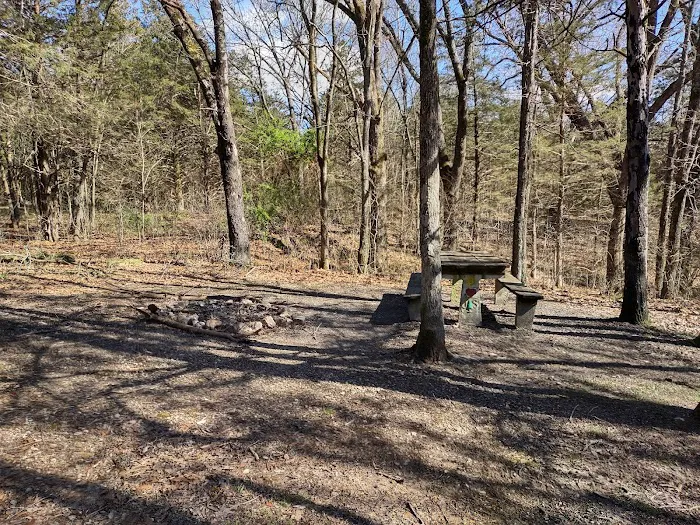 Overhang campsite 5