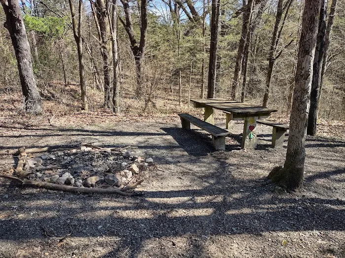 Overhang campsite 2