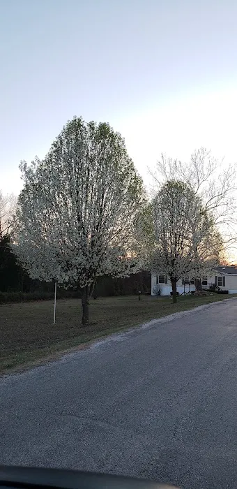 Rolling Meadows Mobile Home Community 3