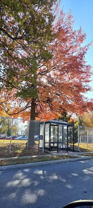 SPRINGFIELD MISSOURI TINY HOMES 7