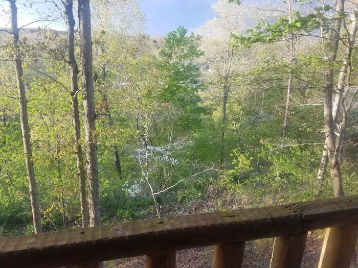Jewells RV Park 6