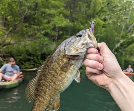 Cedar Ridge South Fork River