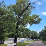 Cedar Hills Mobile Home Park