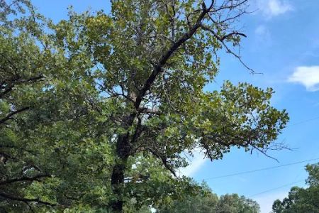 Cedar Hills Mobile Home Park
