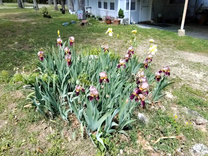 Cedar Hills Mobile Home Park 3