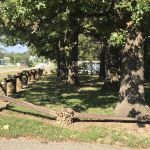 Golden Mobile Senior Park