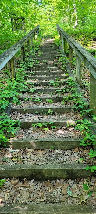 Lakeview Campground 3