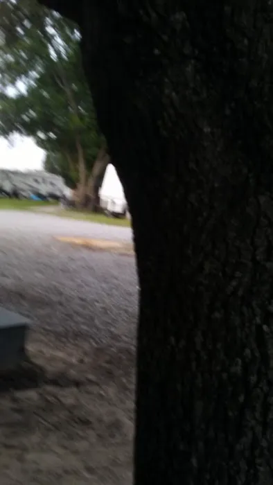 Almost Home RV Park 5