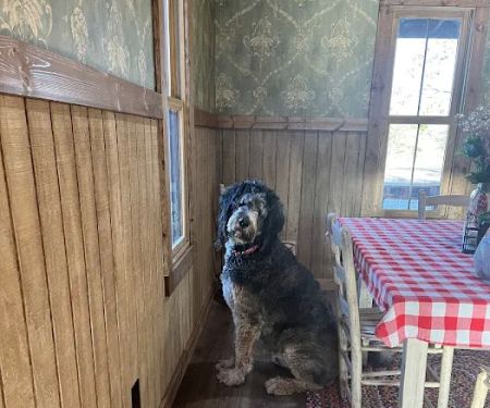 Pioneer Living RV Park