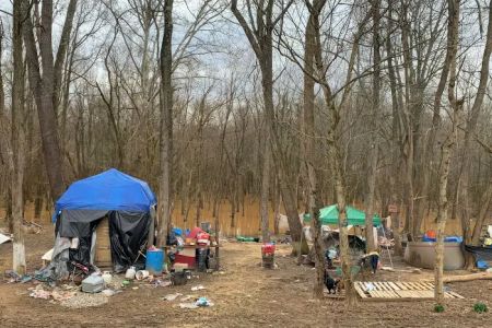 Camp Stan