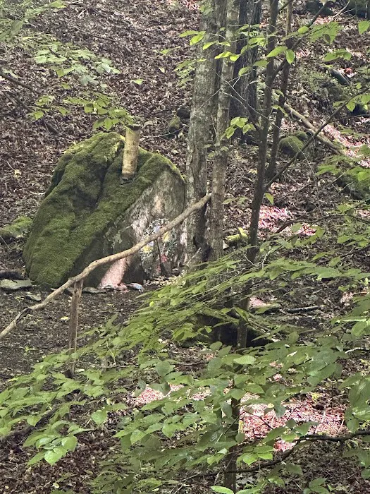 Bear Cave Camp 6