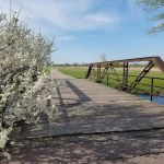 Sunny Meadow Estates