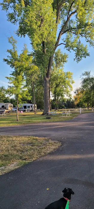 Sexauer Campground 1