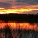Covenant Cove RV Resort