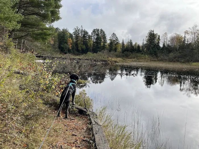 McDougal Lake Campground 1