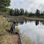 McDougal Lake Campground