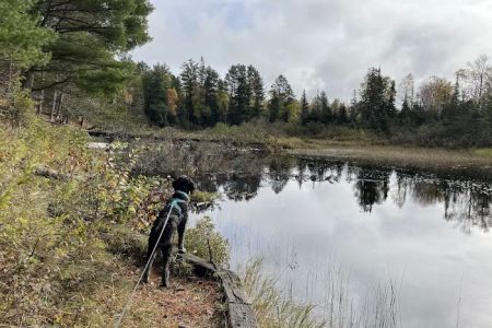McDougal Lake Campground