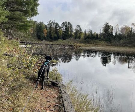 McDougal Lake Campground