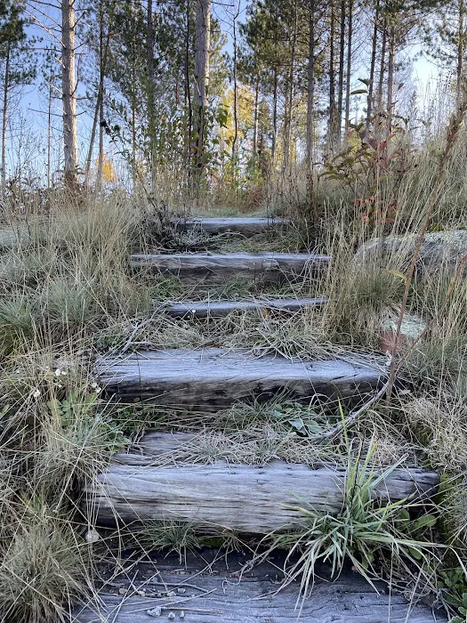 McDougal Lake Campground 2