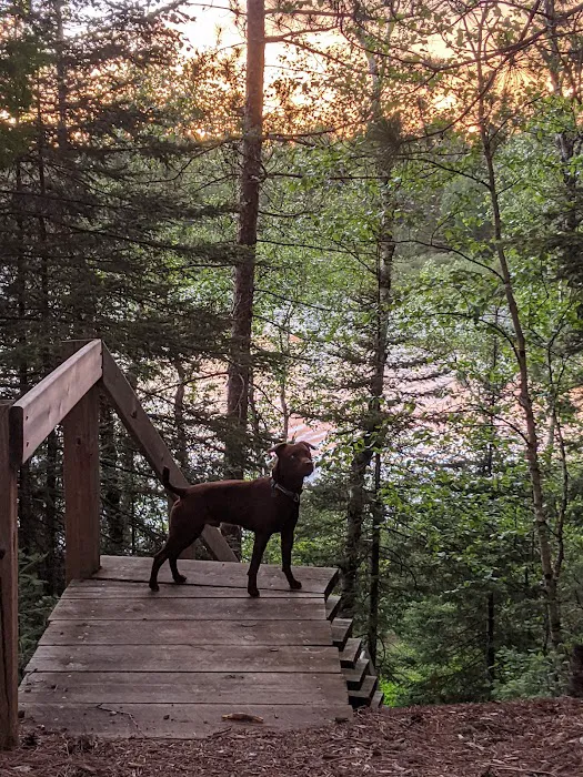 McDougal Lake Campground 4