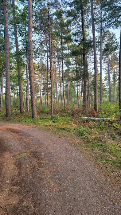 Little Isabella River Campground 7
