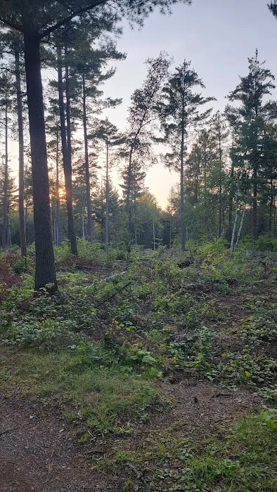 Little Isabella River Campground 2