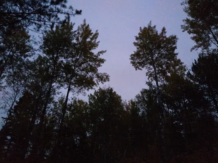 Birch Lake Campground 10