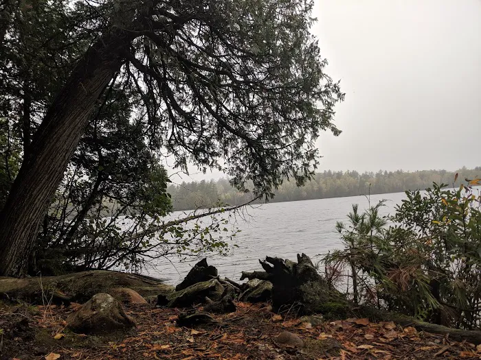 Eighteen Lake Rustic Campground 5