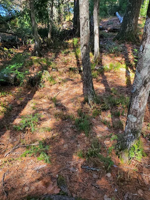 Eighteen Lake Rustic Campground 9